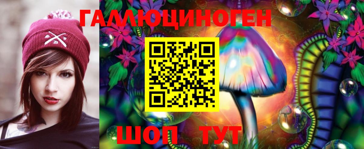 Галлюциногенные грибы Psilocybe Кинель