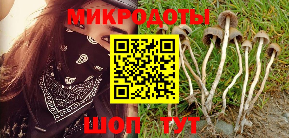 Кинель  Псилоцибиновые грибы Cubensis  Галлюциногенные грибы GOLDEN TEACHER  Вход с VPN 